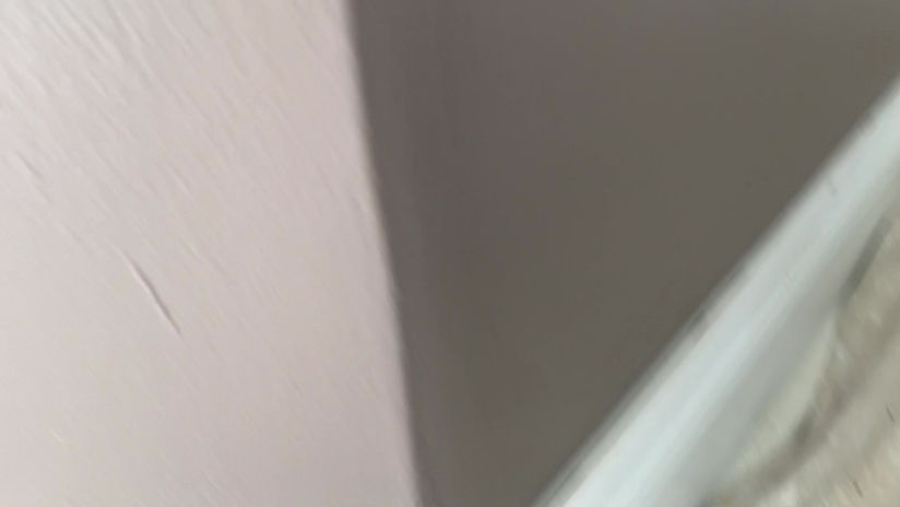 interior painting dining room , original condition ,crownmolding installation & painting the entire room